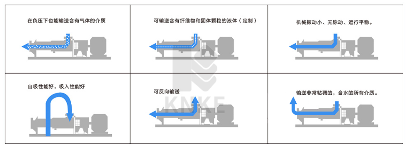 進(jìn)口無極調(diào)速螺桿泵(圖1)